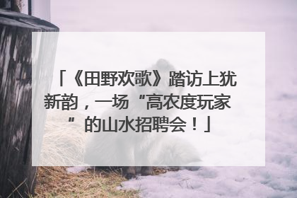 《田野欢歌》踏访上犹新韵，一场“高农度玩家”的山水招聘会！
