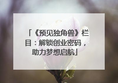 《预见独角兽》栏目：解锁创业密码，助力梦想启航