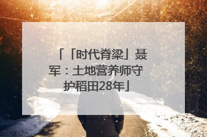 「时代脊梁」聂军：土地营养师守护稻田28年