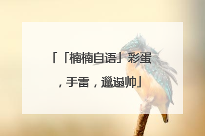 「楠楠自语」彩蛋，手雷，邋遢帅
