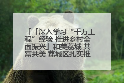 「深入学习“千万工程”经验 推进乡村全面振兴」和美荔城 共富共美 荔城区扎实推进乡村振兴工作
