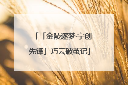 「金陵逐梦·宁创先锋」巧云破茧记