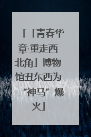 「青春华章·重走西北角」博物馆丑东西为“神马”爆火
