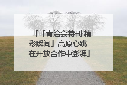 「青洽会特刊·精彩瞬间」高原心跳 在开放合作中澎湃