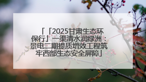 「2025甘肃生态环保行」一渠清水润绿洲：景电二期提质增效工程筑牢西部生态安全屏障
