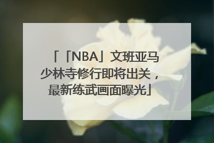 「NBA」文班亚马少林寺修行即将出关，最新练武画面曝光