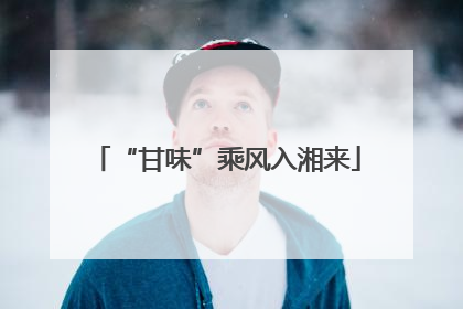 “甘味”乘风入湘来