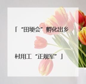 “田埂会”孵化出乡村用工“正规军”