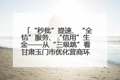 “秒批”提速、“全情”服务、“信用”生金——从“三级跳”看甘肃玉门市优化营商环境的进阶之路