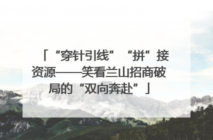 “穿针引线”“拼”接资源——笑看兰山招商破局的“双向奔赴”