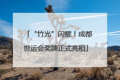 “竹光”闪耀！成都世运会奖牌正式亮相