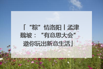 “粽”情洛阳丨孟津魏坡：“有意思大会”邀你玩出新意生活