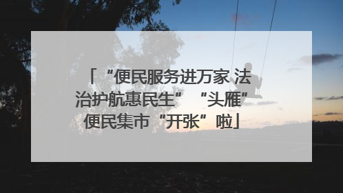 “便民服务进万家 法治护航惠民生”“头雁”便民集市“开张”啦