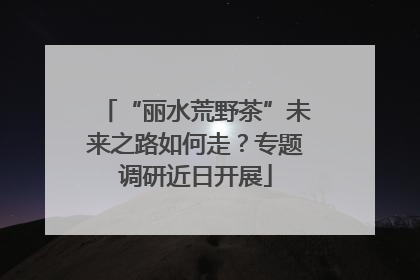 “丽水荒野茶”未来之路如何走？专题调研近日开展