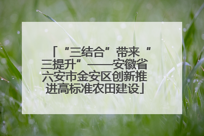 “三结合”带来“三提升”——安徽省六安市金安区创新推进高标准农田建设
