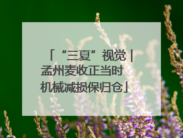 “三夏”视觉｜孟州麦收正当时 机械减损保归仓