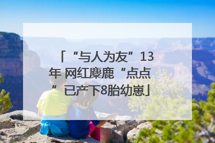 “与人为友”13年 网红麋鹿“点点”已产下8胎幼崽