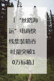 “丝路海运”电商快线集装箱吞吐量突破10万标箱