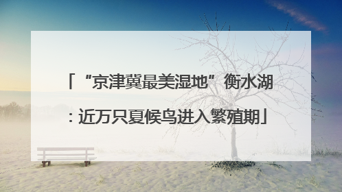 “京津冀最美湿地”衡水湖：近万只夏候鸟进入繁殖期