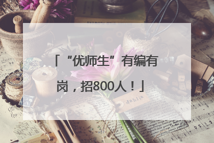 “优师生”有编有岗，招800人！