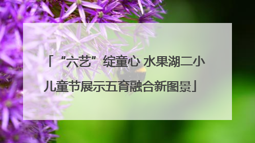 “六艺”绽童心 水果湖二小儿童节展示五育融合新图景