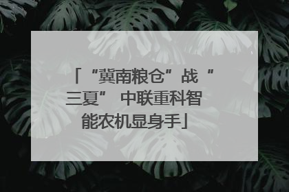 “冀南粮仓”战“三夏” 中联重科智能农机显身手