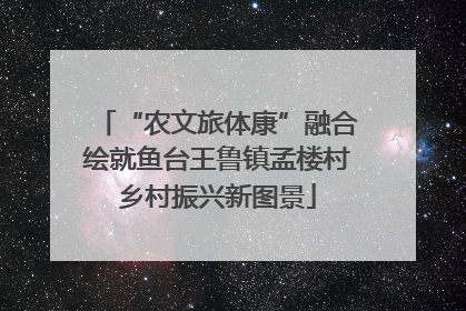 “农文旅体康”融合绘就鱼台王鲁镇孟楼村乡村振兴新图景