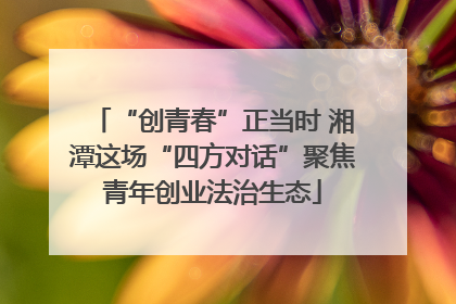 “创青春”正当时 湘潭这场“四方对话”聚焦青年创业法治生态