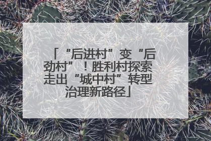 “后进村”变“后劲村”！胜利村探索走出“城中村”转型治理新路径