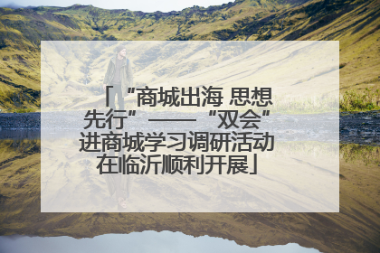 “商城出海 思想先行”——“双会”进商城学习调研活动在临沂顺利开展