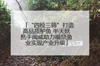 “四检三筛”打造高品质鲈鱼 半天妖携手闽威助力福鼎渔业实现产业升级