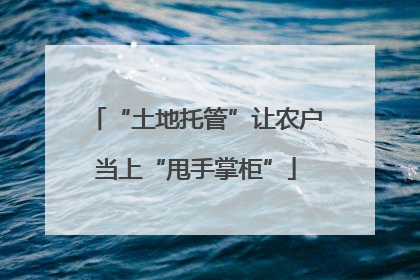 “土地托管”让农户当上“甩手掌柜”