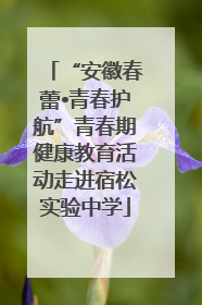 “安徽春蕾•青春护航”青春期健康教育活动走进宿松实验中学