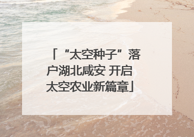 “太空种子”落户湖北咸安 开启太空农业新篇章