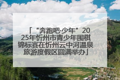 “奔跑吧·少年”2025年忻州市青少年围棋锦标赛在忻州云中河温泉旅游度假区圆满举办