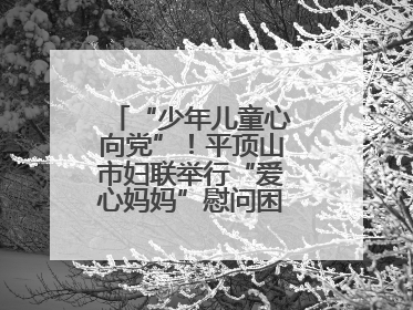 “少年儿童心向党”！平顶山市妇联举行“爱心妈妈”慰问困境儿童活动