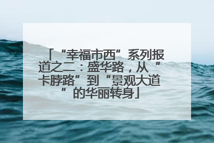 “幸福市西”系列报道之二：盛华路，从“卡脖路”到“景观大道”的华丽转身