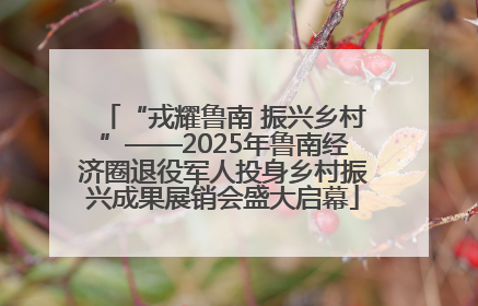 “戎耀鲁南 振兴乡村”——2025年鲁南经济圈退役军人投身乡村振兴成果展销会盛大启幕