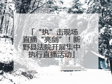 “执”击现场 直播“亮剑”！新野县法院开展集中执行直播活动