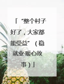 “整个村子好了，大家都能受益”（稳就业·暖心故事）