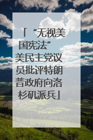 “无视美国宪法” 美民主党议员批评特朗普政府向洛杉矶派兵