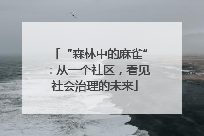 “森林中的麻雀”：从一个社区，看见社会治理的未来