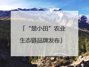 “楚小田”农业生态链品牌发布