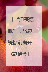 “沮丧愤慨”，乌总统提前离开G7峰会