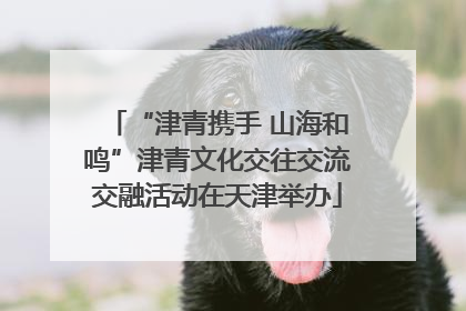 “津青携手 山海和鸣”津青文化交往交流交融活动在天津举办