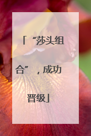 “莎头组合”，成功晋级