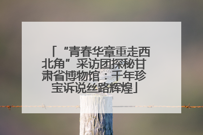 “青春华章重走西北角”采访团探秘甘肃省博物馆：千年珍宝诉说丝路辉煌