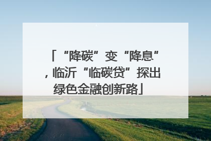 “降碳”变“降息”，临沂“临碳贷”探出绿色金融创新路