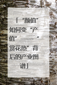 “颜值”如何变“产值”——“赏花热”背后的产业图谱