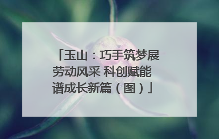 玉山：巧手筑梦展劳动风采 科创赋能谱成长新篇（图）